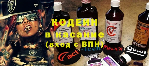 spice Богданович