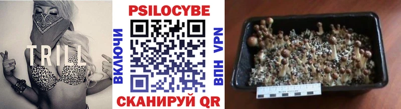 Галлюциногенные грибы MAGIC MUSHROOMS Волжск